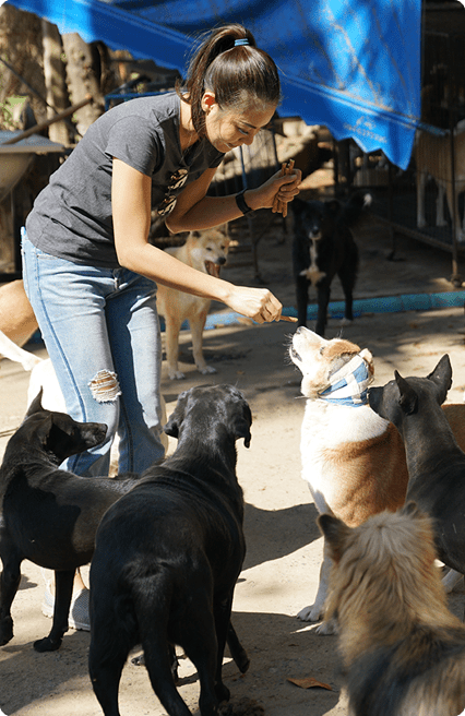 woman feeding a dog