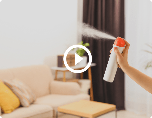 video placeholder for kwik