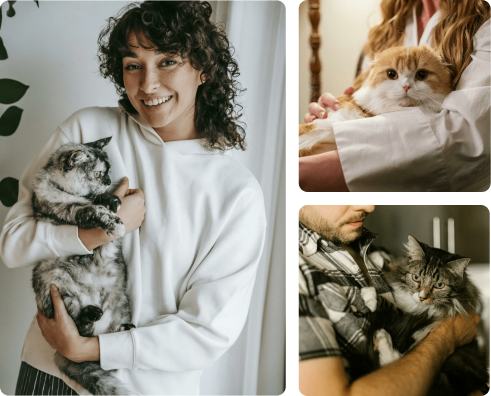 pet owners with their cats