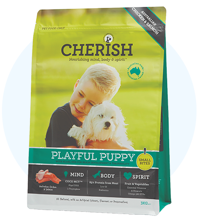 cherish playful puppy